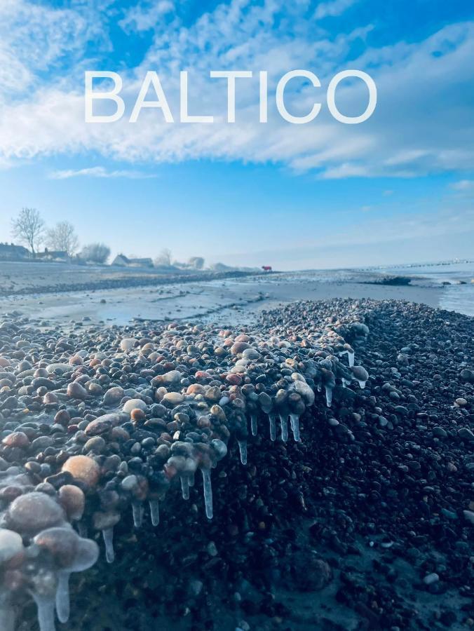 Baltico Domki Letniskowe ซาร์บินโนโว ภายนอก รูปภาพ